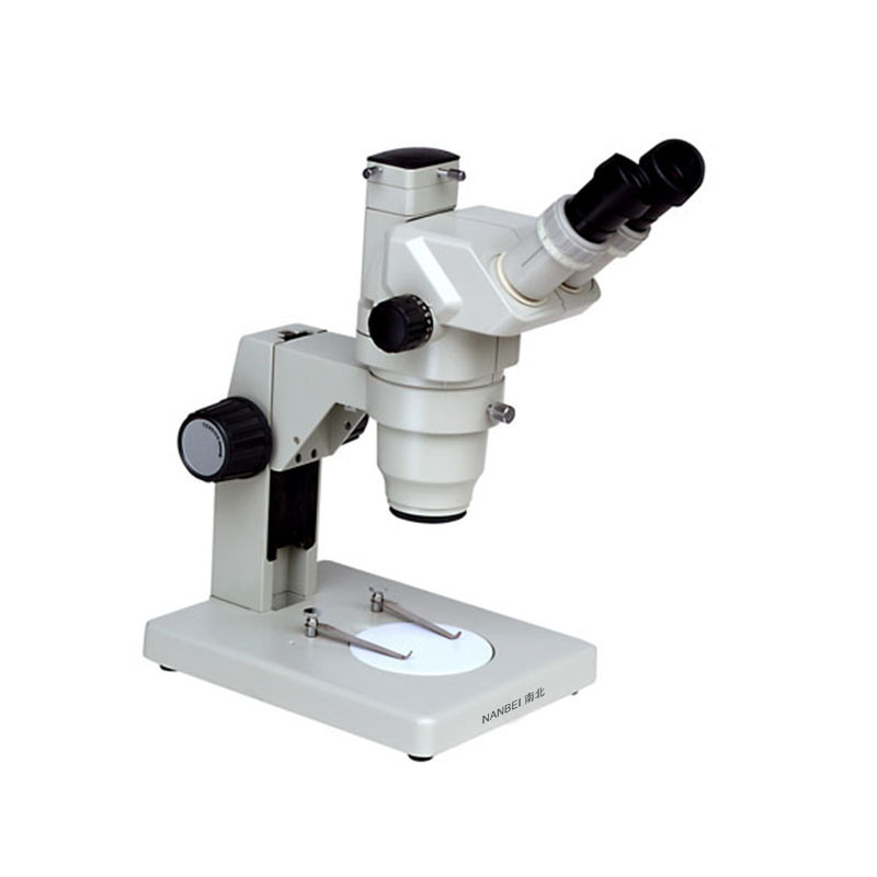 GL6545T Stereo Microscopes