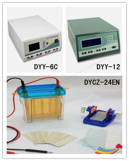 electrophoresis tank electrophoresis tank